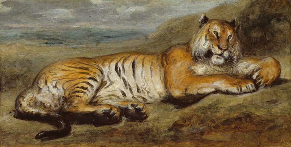 Ruhender Tiger