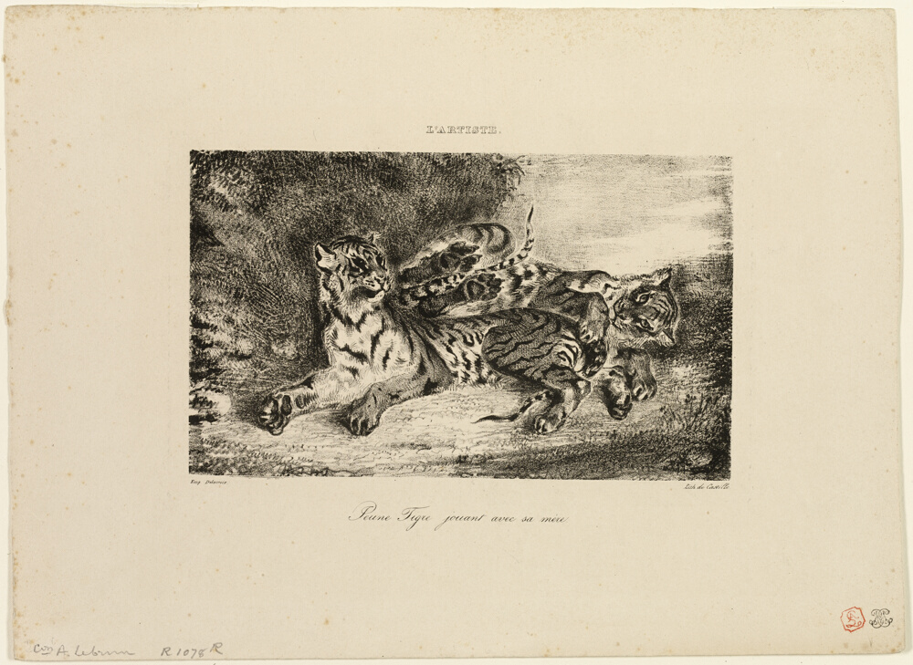 Junger Tiger mit seiner Mutter