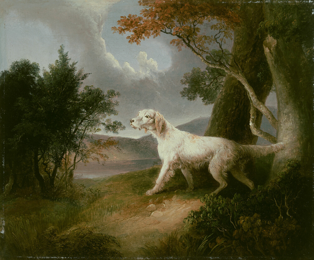 Landschaft mit Hund