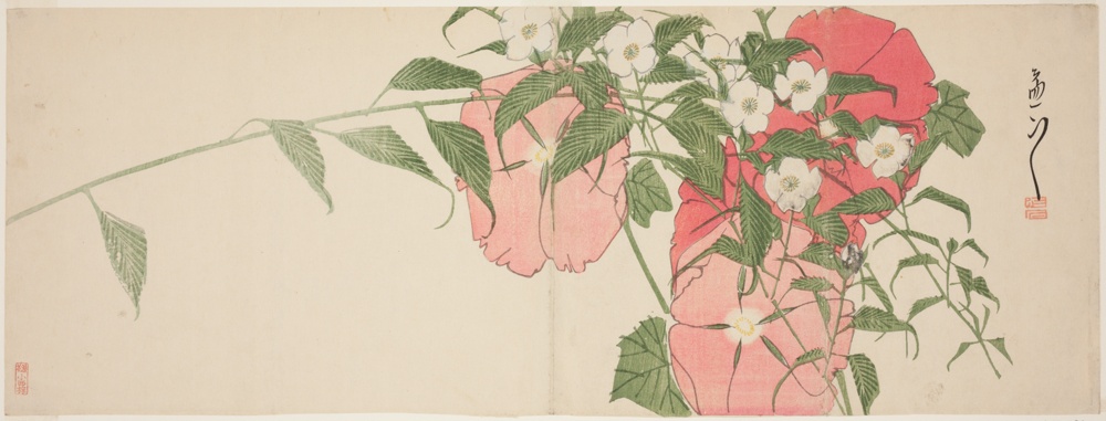 Blumen
