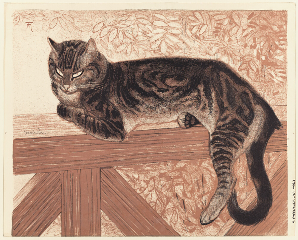 Sommer: Katze auf einer Balustrade