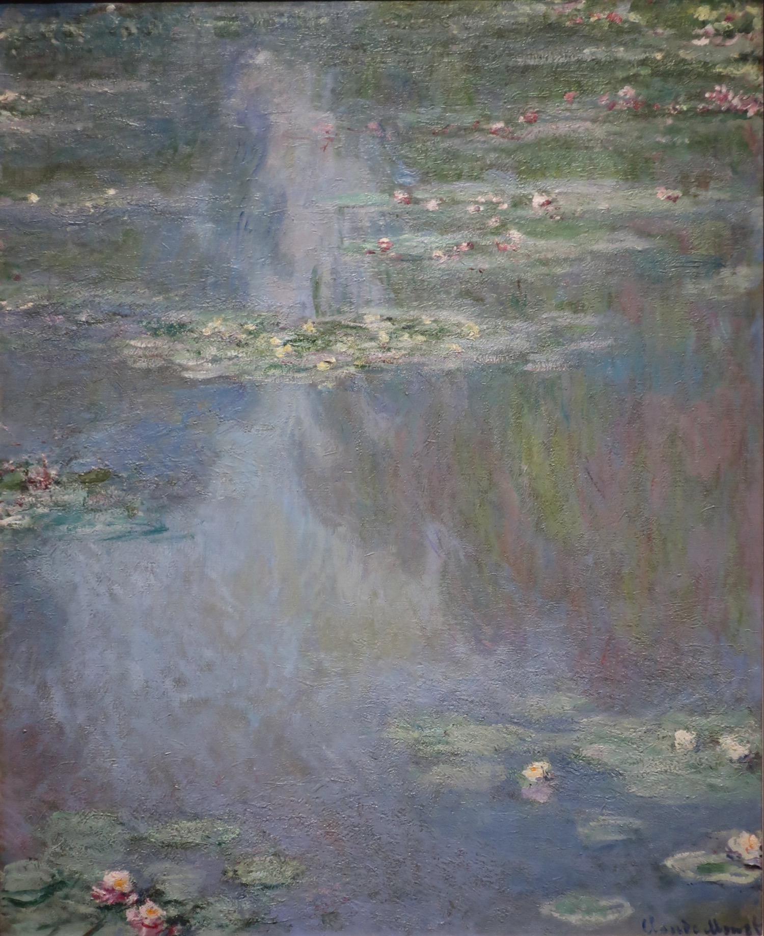 Seerosen